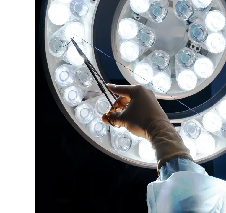 Aesthetics in the details. Self-absorbing surgical sutures